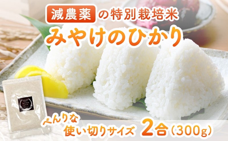 
                  特別栽培米 みやけのひかり 2合 300グラム お試しヒノヒカリ 減農薬米 奈良県 三宅町 国産米 白米 ｢ひのひかり｣ おいしい 冷めても もちもち 安心 おにぎり お弁当
                