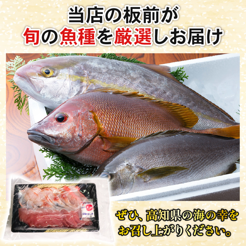 ほんとにおいしい！室戸のお刺身　２?３種盛り合わせお楽しみセット（２?３人前）鮮魚 刺し身 旬の魚 海の幸 お寿司 お惣菜