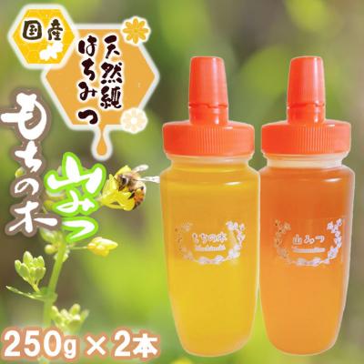 ふるさと納税 小郡市 はちみつ 国産 天然 純はちみつ 250g×2本 もちのき&amp;やまみつ[No5354-0341]
