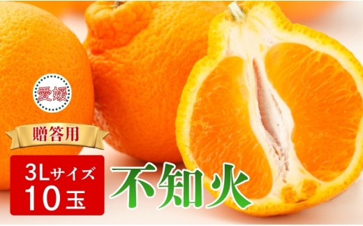 【2027年先行予約】みかん 不知火 3Lサイズ 10玉 贈答用 【2027年3月中旬順次発送予定】 数量限定 愛媛みかん ミカン 蜜柑 果物 くだもの フルーツ 柑橘 かんきつ 柑橘類 おすすめ 人気 国産 伊予市 愛媛｜B564