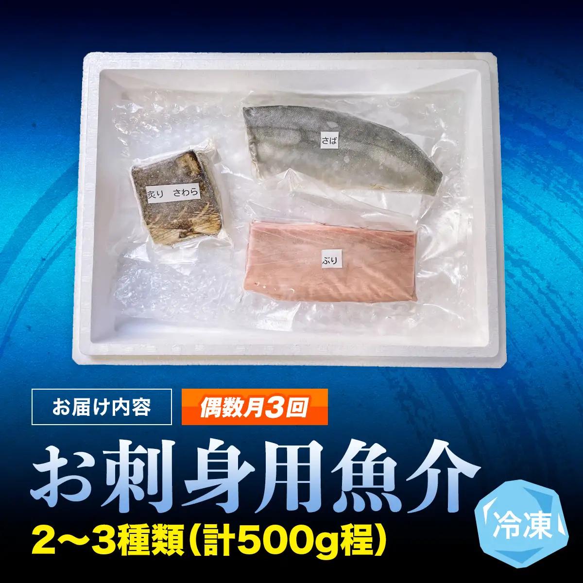 【偶数月 全3回 定期便】氷見漁港 海鮮刺身セット | 詰め合わせ 冷凍 刺身