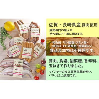ふるさと納税 太良町 HOMARE(ほまれ)ハム・ソーセージセット       O121 N45A　　O121