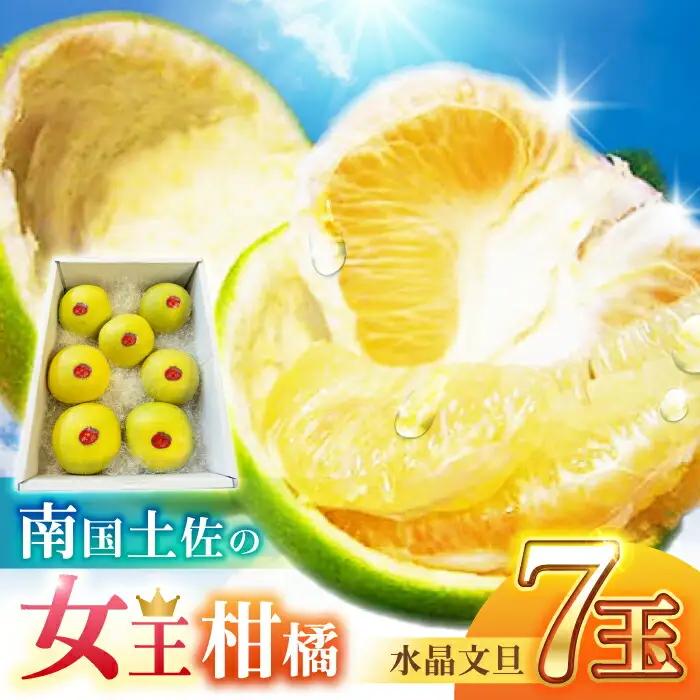 【先行予約】 南国土佐の女王柑橘 水晶文旦 約3kg 7玉入り〈2026年9月中旬〜2026年12月中旬頃発送〉/ ぶんたん 文旦 3kg 3キロ フルーツ 高知 名物 果物 柑橘  【フルーツショップオザキ】[ATAH006]