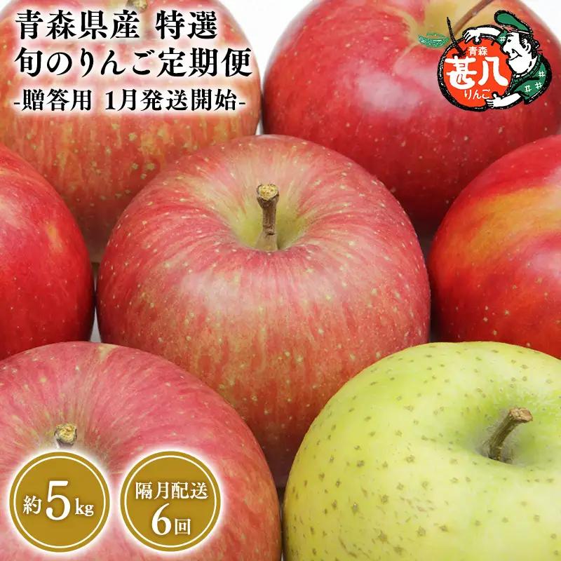 りんご 定期便 贈答用 5kg 隔月配送 定期便６回 贈答 りんご