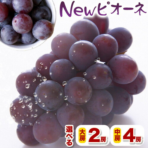 【ふるさと納税】ぶどう New ピオーネ 選べる 中房2房(約400g×2房) 中房4房(約400g×4房) ふじまる《8月下旬-9月下旬頃出荷》岡山県 笠岡市 送料無料 葡萄 フルーツ 果物 ニューピオーネ お取り寄せフルーツ
