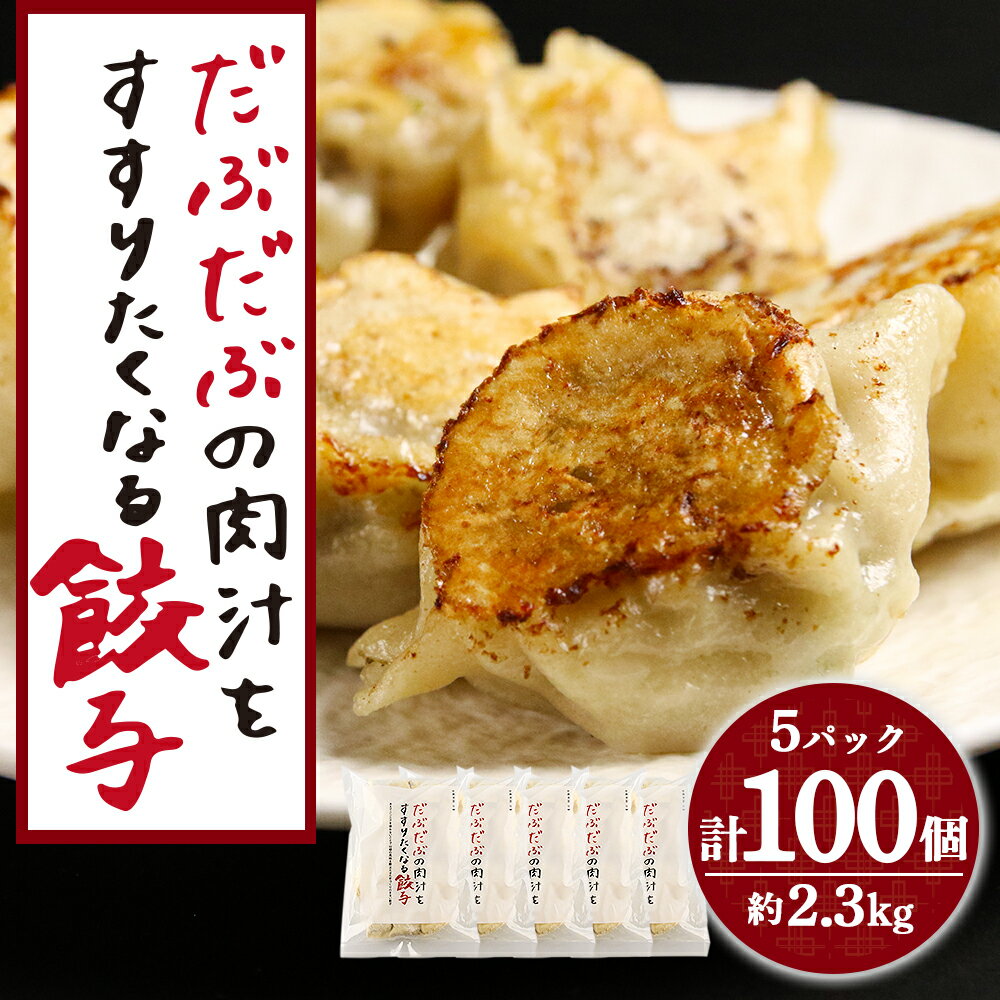 【ふるさと納税】 だぶだぶの肉汁をすすりたくなる餃子 100個（20個入×5パック）餃子 肉料理 ぎょうざ ギョウザ 惣菜 北海道ふるさと納税 白老 ふるさと納税 北海道