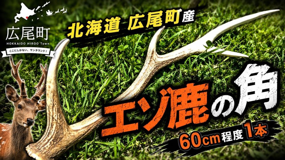
                  エゾ鹿の角　１本（60cm程度）【エゾシカ　えぞしか　シカの角　鹿角　クラフト　インテリア　狩猟　広尾産業流通振興公社】(0124)
                