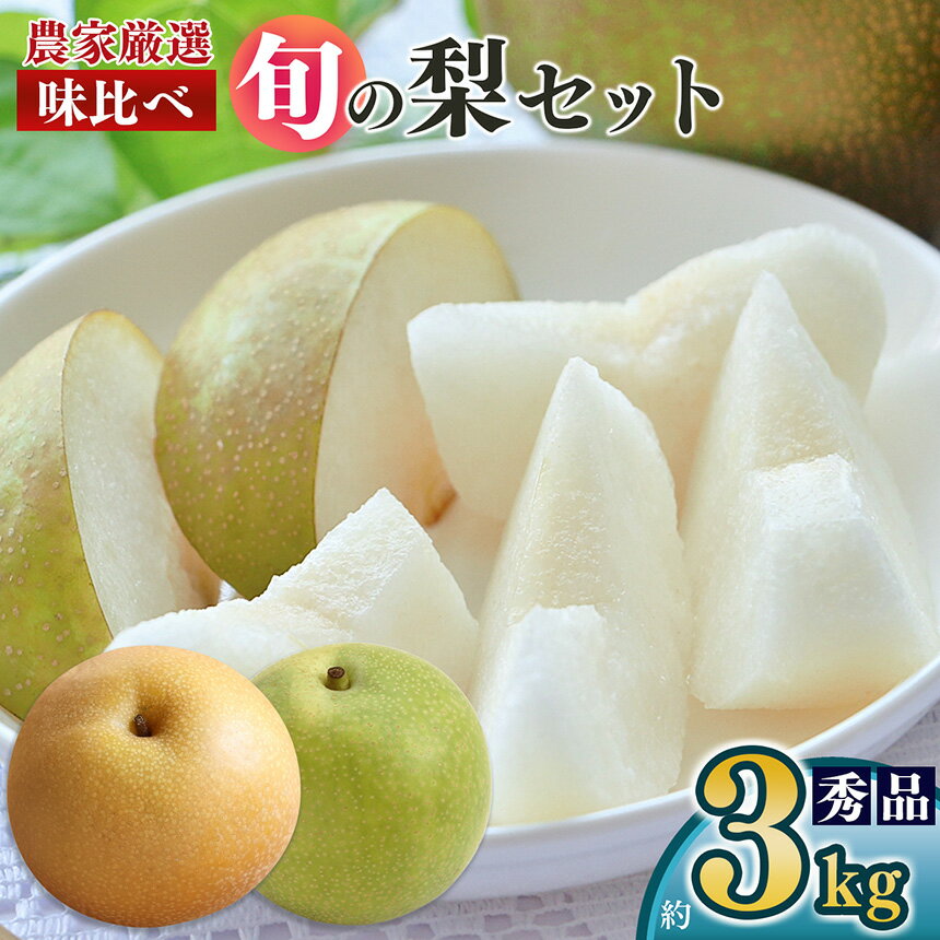 【ふるさと納税】 【先行予約】 南陽園の旬の梨 味くらべ 約3kg 2L～5L 【秀品】 | ≪数量限定≫ 梨園直送！ 期間限定 果物 くだもの フルーツ 農家直送 梨 シャキシャキ もぎたて 旬 お取り寄せ 二十世紀梨 幸水梨 豊水梨 奈良県 大淀町 ※8月中旬より順次発送