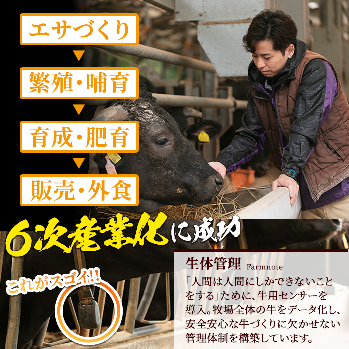 s687 さつま福永牛 鹿児島黒毛和牛 ハンバーグ(計約1.26kg・約180g×7P) 鹿児島 国産 九州産 黒毛和牛 牛肉 ひき肉 ハンバーグ 惣菜 おかず 冷凍ハンバーグ 冷凍 電子レンジ 簡単