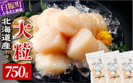 オホーツク産お刺身用ホタテ大サイズ（3S）【750g（250g×3）】_K022-0714