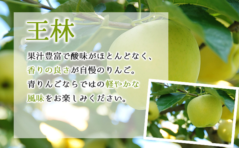 【2月発送】訳あり 家庭用 ちとせ村葉とらずサンふじ ＆ 王林 詰め合わせ 約5kg【弘前市産・青森りんご】