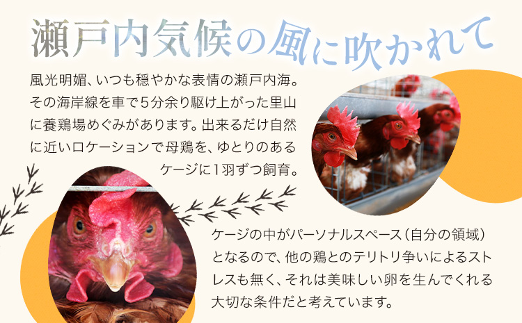 卵 たまご 夢の卵 赤玉 卵かけご飯セット 20個 + 12個 醤油 1本《90日以内に出荷予定(土日祝除く)》株式会社めぐみ 岡山 卵かけごはん---124_87_90d_23_14500_s---