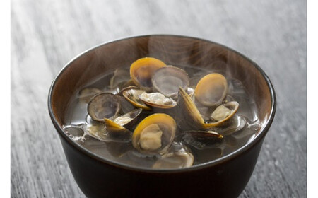 しじみの食べ比べ！宍道湖産＆神西湖産＜３回定期便＞【3-051】