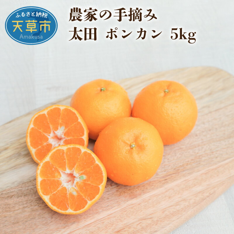 【ふるさと納税】【先行受付】 柑橘 ポンカン 約 5kg 早生 果物 フルーツ 手摘み 太田ぽんかん ギフト 予約受付 先行予約