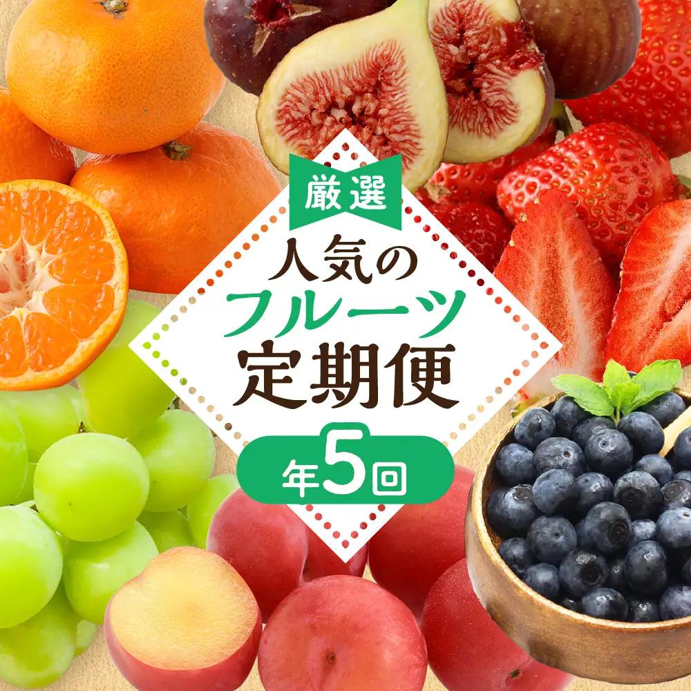 【定期便/年5回】フルーツ JAむなかた厳選！人気フルーツ定期便 _HB0164