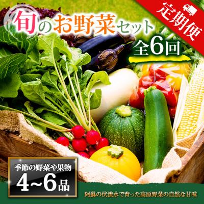 ふるさと納税 阿蘇市 【毎月定期便】季節のお野菜セットMサイズ 旬のお野菜を厳選してお届け全6回