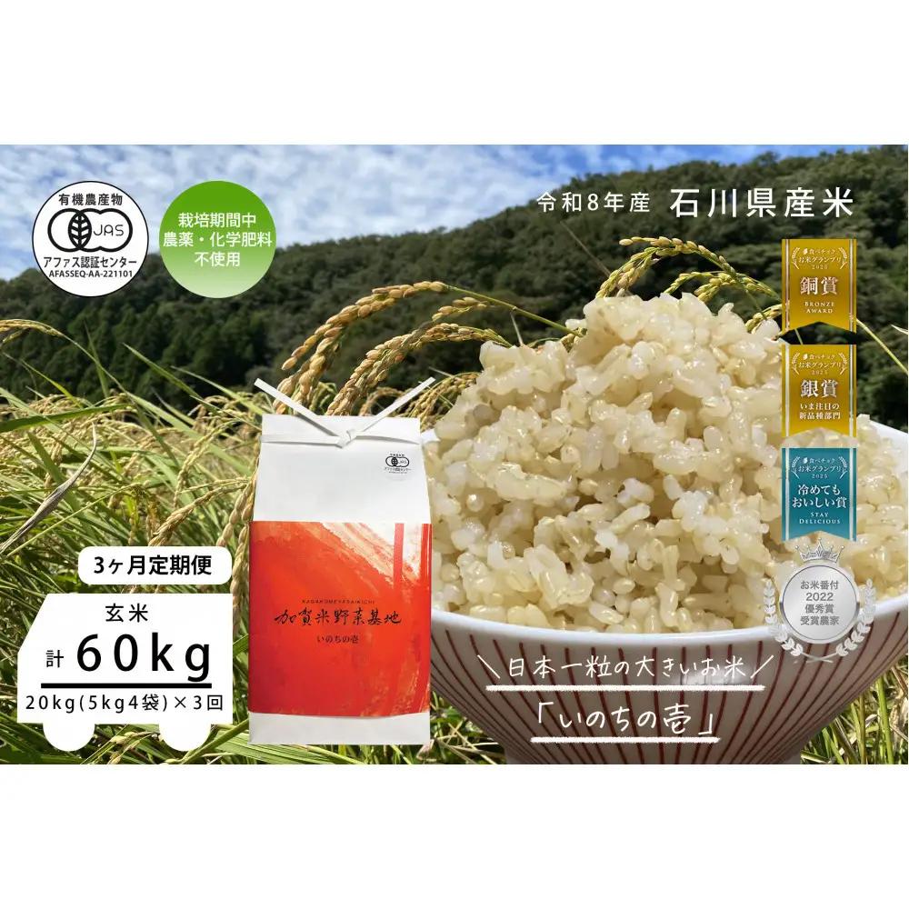 《令和8年産 新米 先行予約》「3ヶ月定期便」【お米グランプリ3部門受賞】＜有機JAS認証米＞日本一粒の大きいお米『いのちの壱』玄米20kg×3回