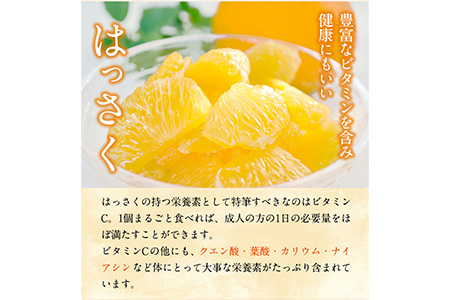 先行予約 和歌山県産 八朔(はっさく) 約4kg 前商店《2025年1月上旬-1月末頃出荷》｜八朔はっさく八朔はっさく八朔はっさく八朔はっさく八朔はっさく八朔はっさく八朔はっさく八朔はっさく八朔はっさ