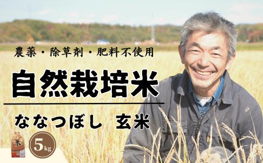 【令和6年産】【玄米】自然栽培米「角田玄米」5kg《厚真町》【カクタファーム】 米 お米 玄米 ななつぼし ご飯 北海道[AXAR001]