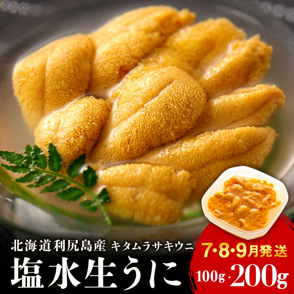 「利尻島産 塩水キタムラサキウニ2パック」【利尻漁組】北海道ふるさと納税 利尻富士町 ふるさと納税 北海道 海鮮 北海道 海鮮 うに 生うに 北海道 うに 雲丹 通販 ギフト ウニ 贈答品 贈り物 予約