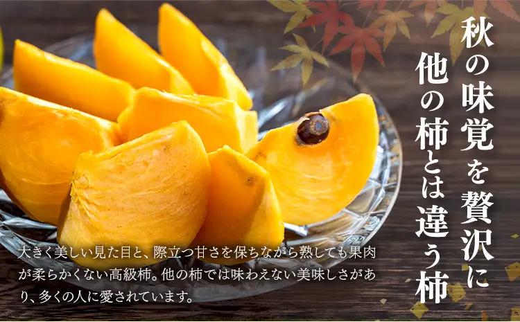 【先行予約】柿 太秋柿 たいしゅうがき 約6kg 日本フルーツ株式会社《2026年9月上旬-10月下旬頃出荷》熊本県 菊池市 秋の味覚 果物 くだもの フルーツ デザート