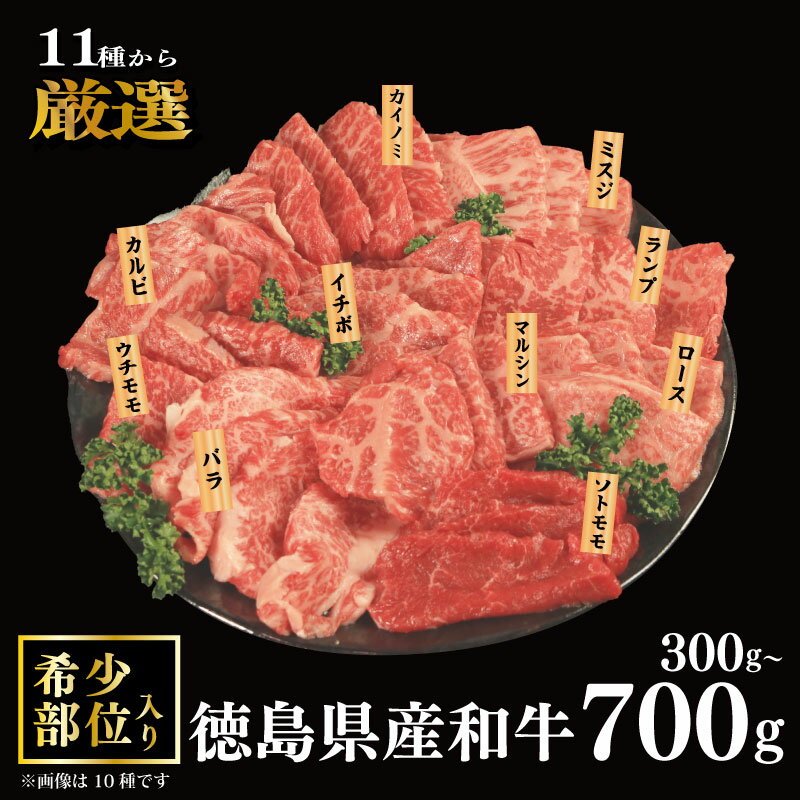 【ふるさと納税】 焼肉 セット 牛肉 おまかせ 冷凍 3種 5種 7種 国産 和牛 牛 ロース バラ 外もも 内もも マルシン カイノミ イチボ ランプ カルビ ミスジ トンビ 和牛 焼き肉 希少部位 赤身 食べ比べ にく ぎゅう うし BBQ やきにく お祝い 贈答 プレゼント 徳島県 吉野川市