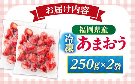 福岡県産 冷凍あまおう 500g（250g×2個）≪築上町≫【株式会社木村食品】[ABEB025] いちご イチゴ 苺 果物 フルーツ[ABEB025]