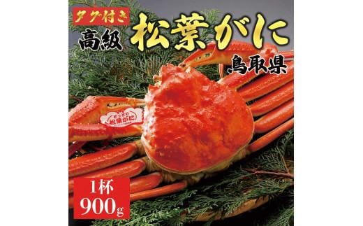 
【2024年内発送】特撰　松葉がに（茹）【ブランドタグ付き】900g超の大きいサイズ　食べ応えあり　特大1杯
