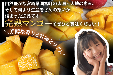 期間限定！＜宮崎特産！国富町産の完熟マンゴー 1玉（2L）＞2026年3月下旬～6月下旬迄に順次出荷