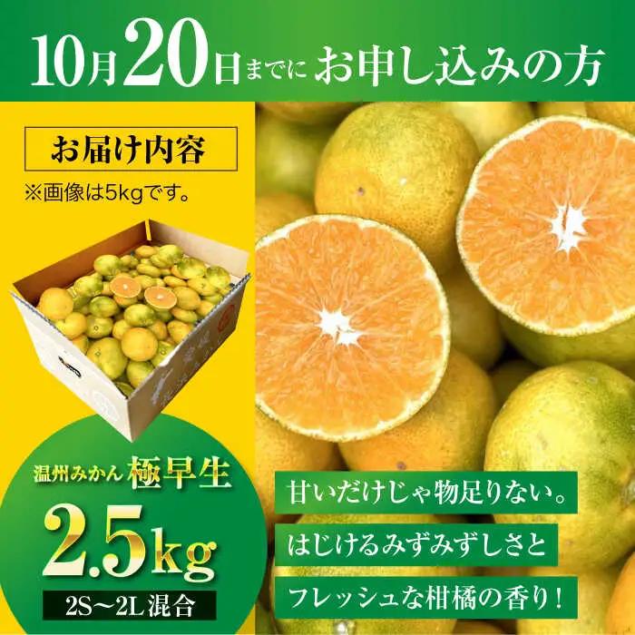 みかん【先行予約】みかん 2.5kg [AGBC004]