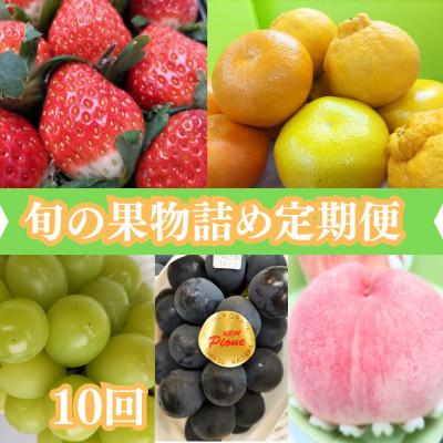 ふるさと納税 坂出市 【発送月固定定期便】旬の果物詰め合わせ全10回