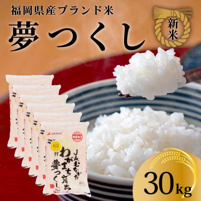 ふるさと納税 筑紫野市 新米!!令和7年産 福岡県産米 夢つくし 合計30kg(5kg×6袋)(筑紫野市)