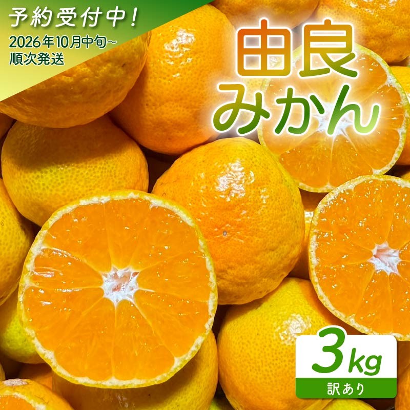 
                  【予約受付】 訳あり 由良 みかん 3kg 産地直送 小玉 中玉 柑橘 フルーツ 果物 蜜柑 時期 旬 季節限定 西浦 おいしい 丸榮 国産 静岡 沼津 ご家庭用
                