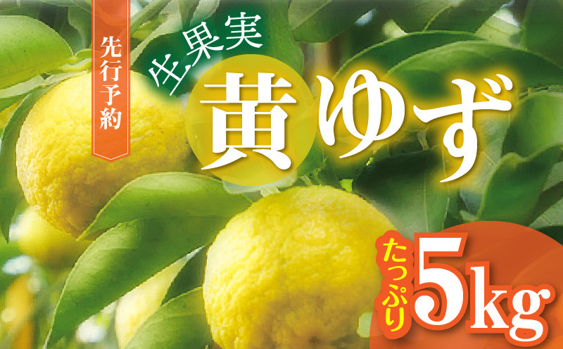 
            訳あり 黄ゆず 生果実 たっぷり5㎏　MM0106
          