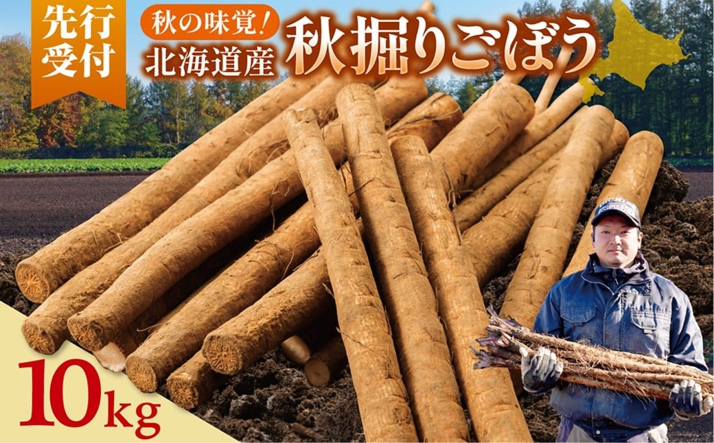 先行受付！2026年10月頃～発送開始！北海道十勝清水町産 秋堀り 新鮮 ごぼう！ 10kg 北海道産 ごぼう 土付ごぼう ゴボウ 根菜_S045-0004