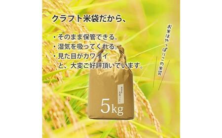 令和7年産 福岡県産【特A】評価のお米「元気つくし」5kg×1袋 5kg [白米]