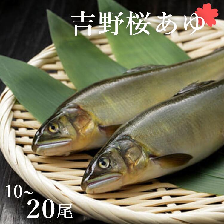 【ふるさと納税】アユ 選べる数量 吉野桜あゆ 奈良県吉野町/吉野漁業協同組合[BRBG001] 鮎 あゆ アユ 塩焼き 魚 魚介 海鮮 桜鮎 桜あゆ 桜アユ