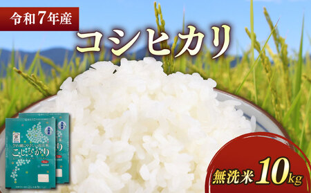 【新米】【無洗米】令和7年 彦根産 米 コシヒカリ 10kg（5kg×2袋）