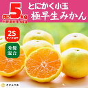 【ふるさと納税】小玉みかん 極早生 箱込 5kg (内容量約 4.4kg) 2Sサイズ以下 秀品 優品 混合 有田みかん 和歌山県産 【みかんの会】　