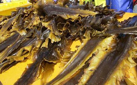 【12か月定期便】 羅臼昆布 40g×4袋 だし用 小分け  ｜ 昆布 北海道