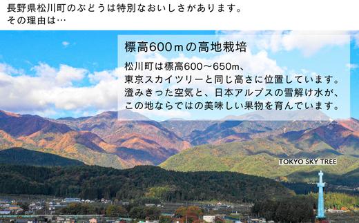 一房ずつ手入れをしていきます
