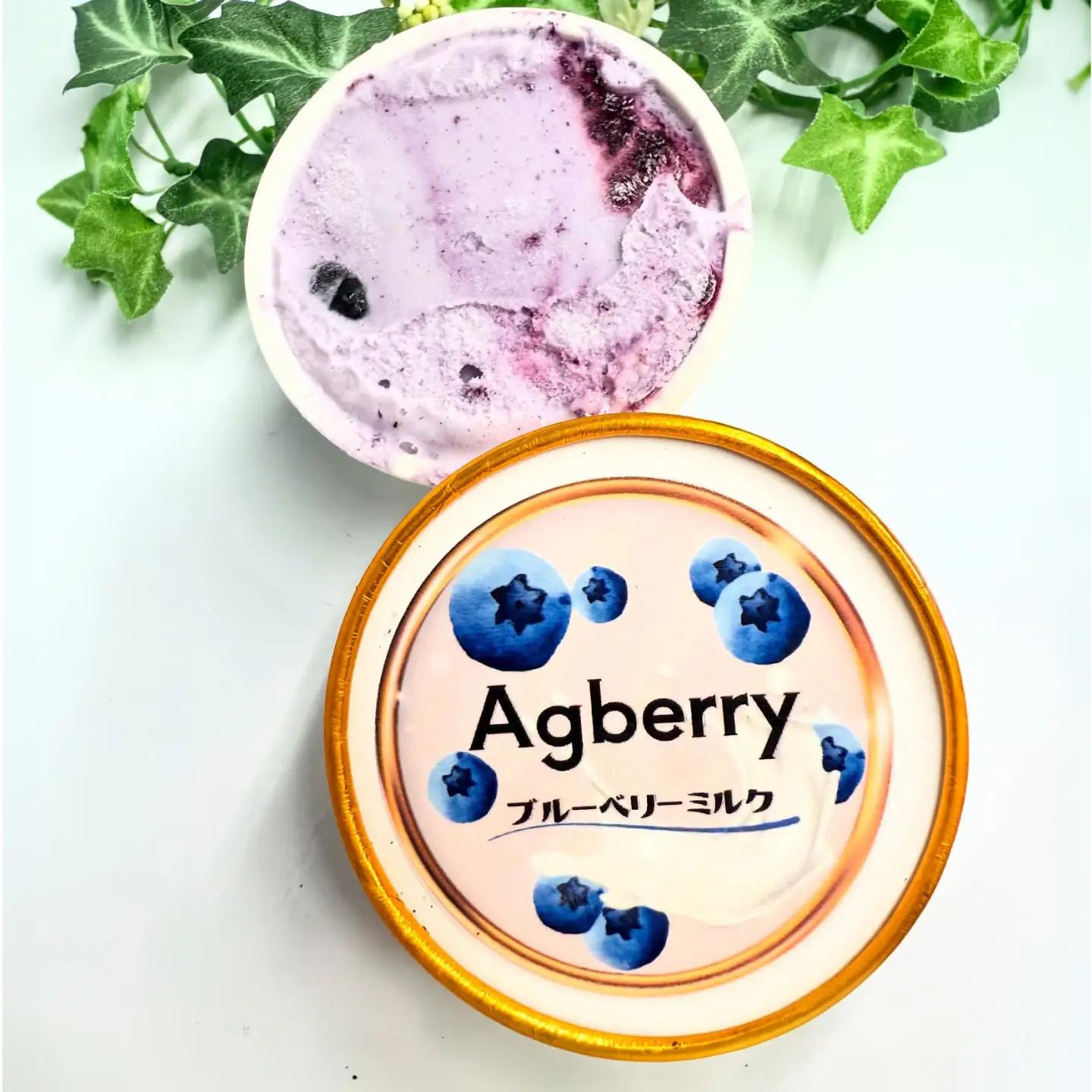 冷凍ブルーベリーアイス(ミルク) 計5個 アイス BHCX016