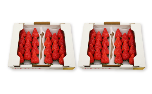 きらぴ香セット(4パック)【配送不可地域：離島・北海道・沖縄県・四国・九州】