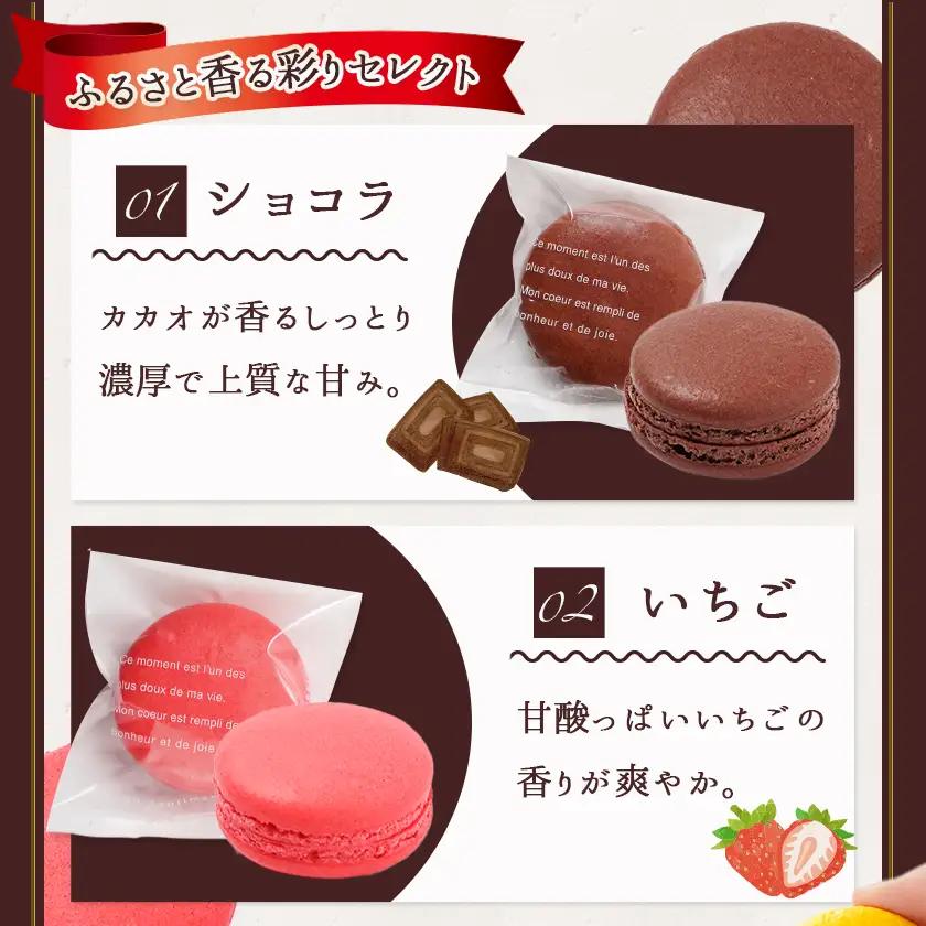 静マカロン ふるさと香る彩りセレクト 6種6個入≪みやこんじょ特急便≫〔LE-C206-Q〕_(都城市) マカロン スイーツ ショコラ いちご 日向夏 ピスタチオ バイオ茶 黒ごま