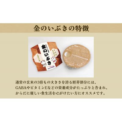 ふるさと納税 岩沼市 【令和7年産新米】金のいぶき レンジアップごはん12個セット[No.5704-0909] |  | 02