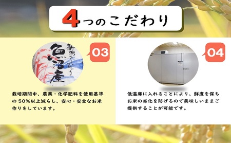 魚沼産コシヒカリ　厳選　低温管理　自社精米　5kg　新潟　こしひかり