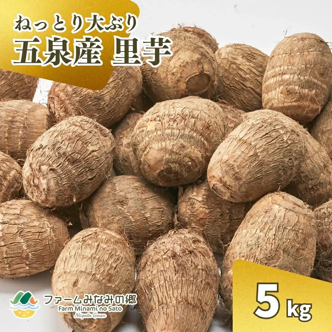 【令和8年産先行予約】里芋 五泉産 大玉さといも（2L以上）5kg | 新潟県 五泉市 さといも サトイモ 野菜