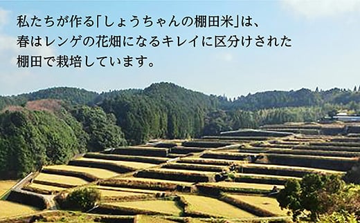 しょうちゃんの棚田米夢しずくは栽培期間中無農薬・化学肥料不使用です