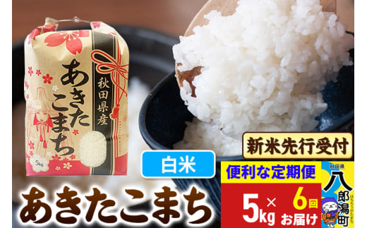 《令和7年産 新米受付》《定期便6ヶ月》あきたこまち 5kg【白米】 秋田県産 こまちライン