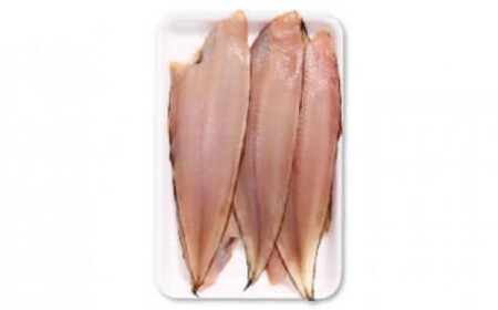干物 銚子の底魚 松 干物